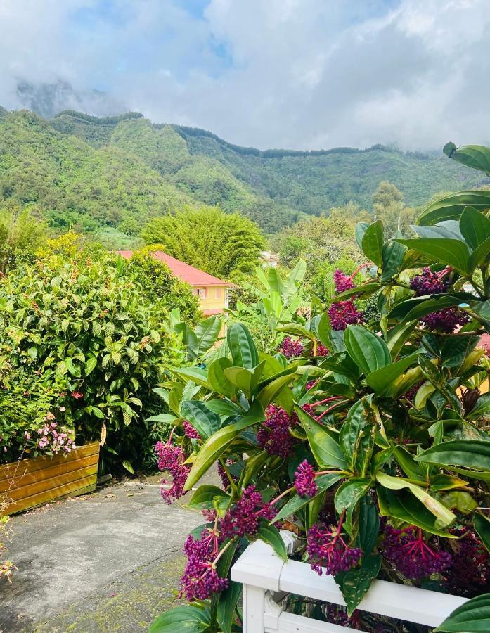 Chambres d'hôtes l'Orchidée Rose Salazie Exterior foto